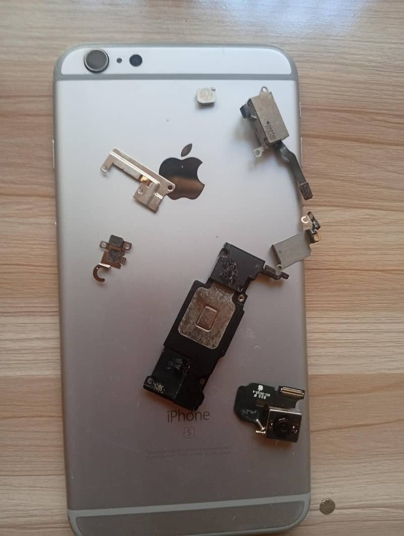 Apple iPhone 6 Plus 1