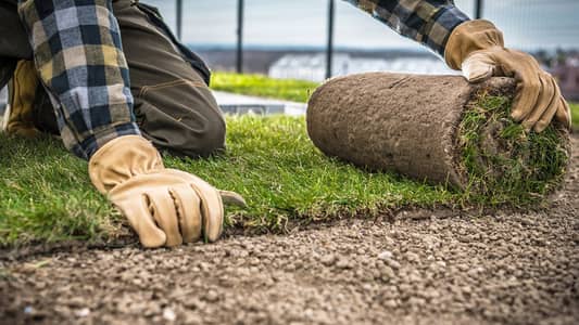 Fine Dhaka Grass | Natural Grass | Korean Grass | Artificial Grass