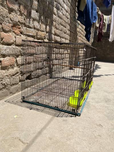 cage 1.5/1.5