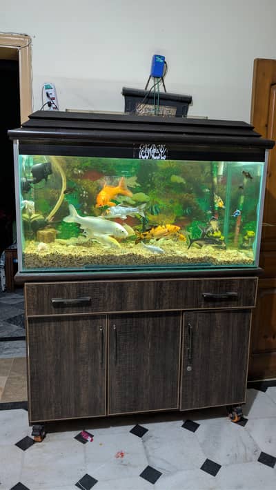4FT Premium Aquarium Complete Setup without fishes for Sale