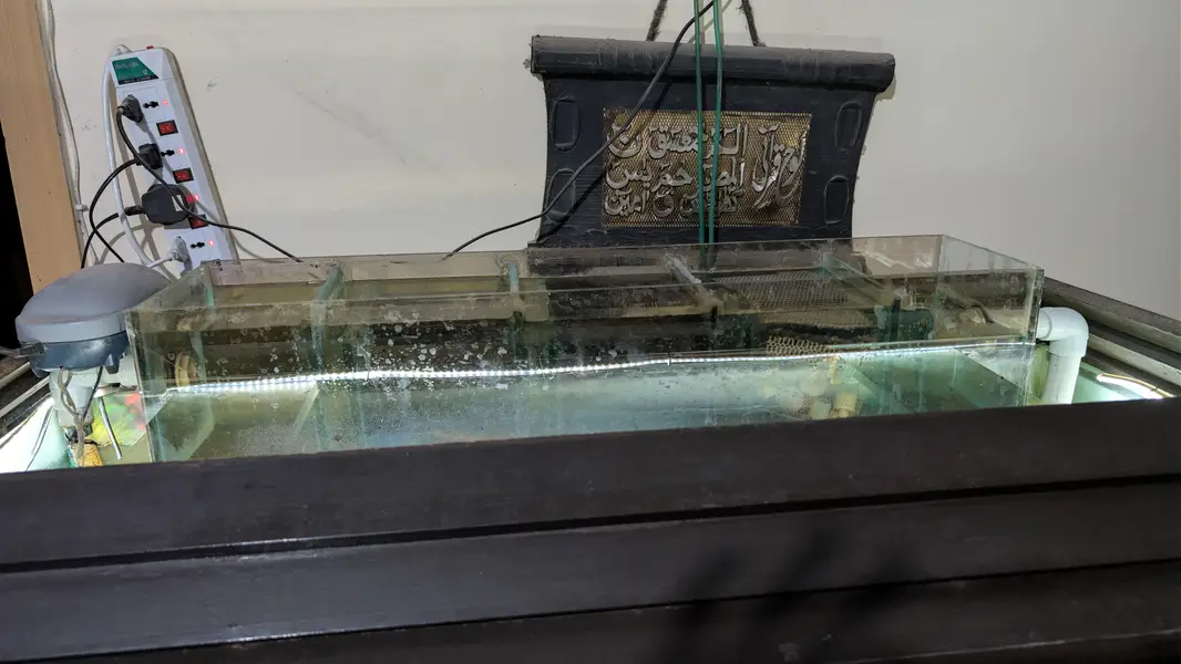 4FT Premium Aquarium Complete Setup without fishes for Sale — photo 3