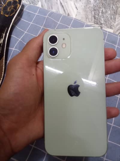Apple iPhone 12 dual PTA  ha
