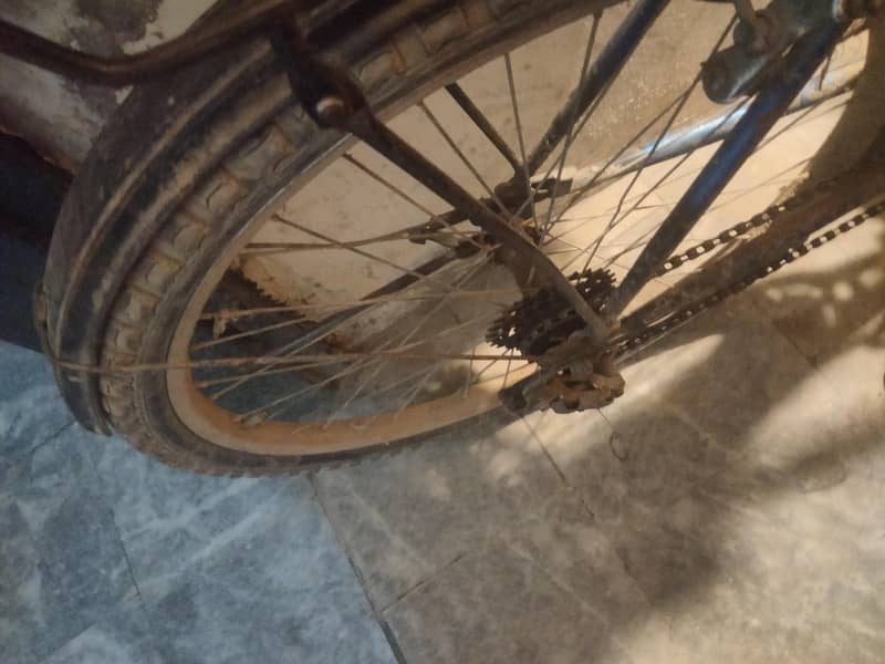 phonix cycle 2
