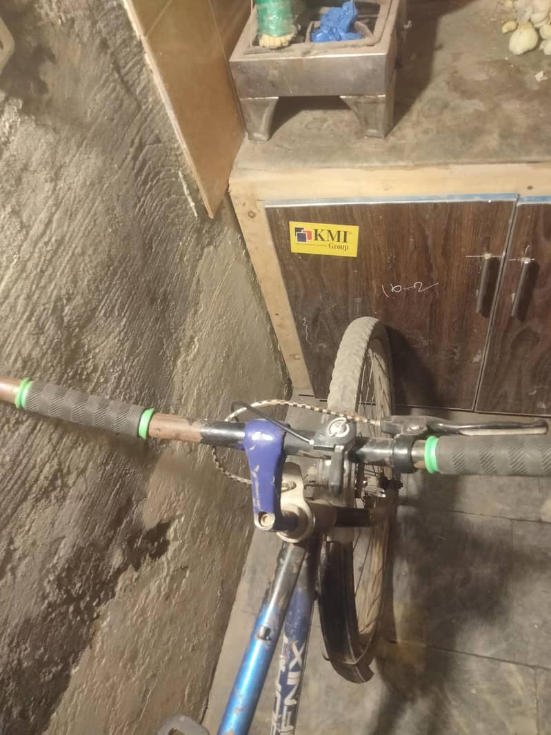 phonix cycle 3