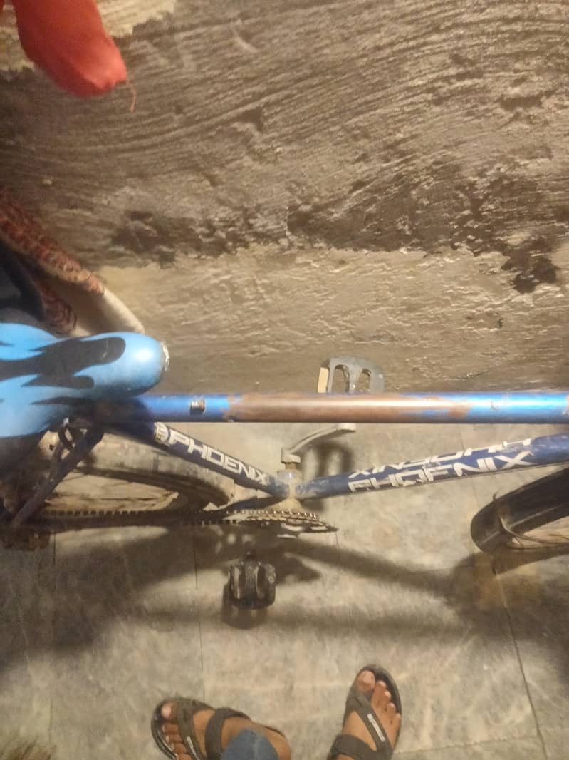 phonix cycle 4