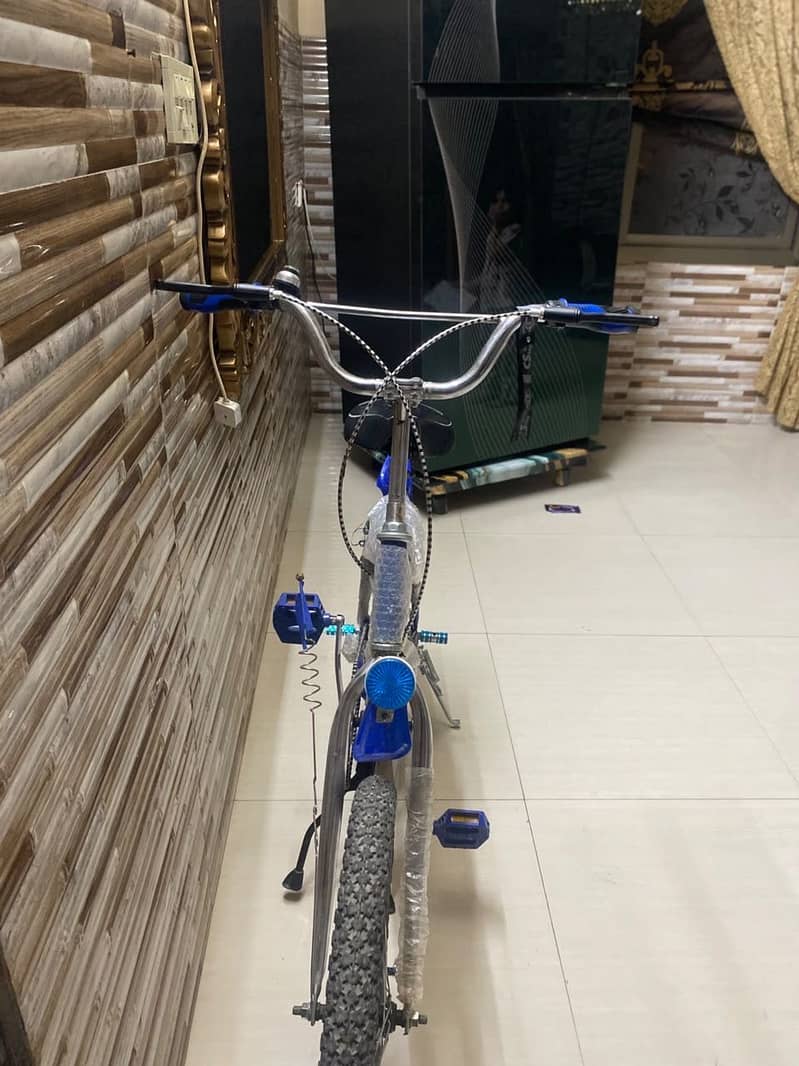 Bicycle 0