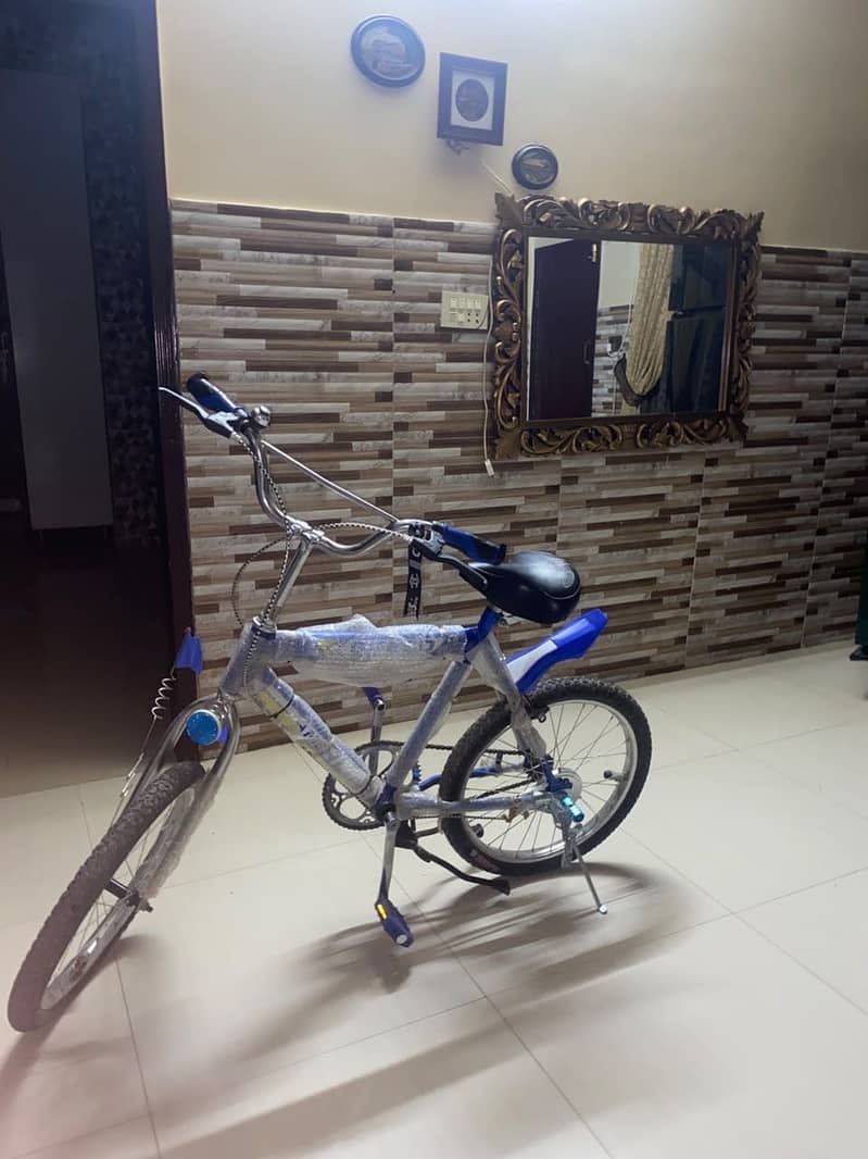 Bicycle 1