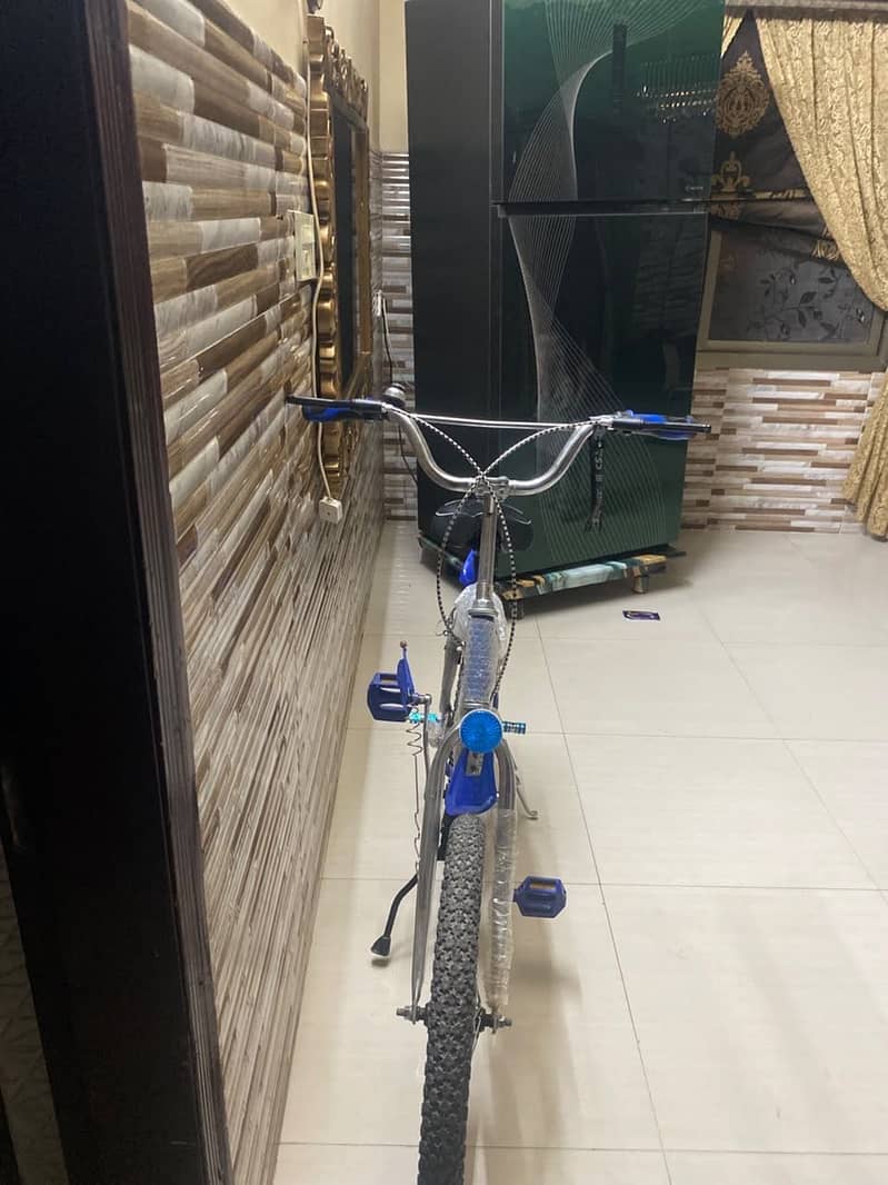 Bicycle 2