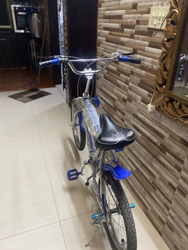 Bicycle 3
