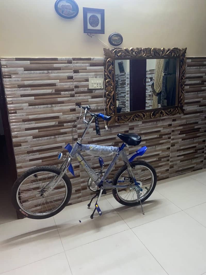 Bicycle 4