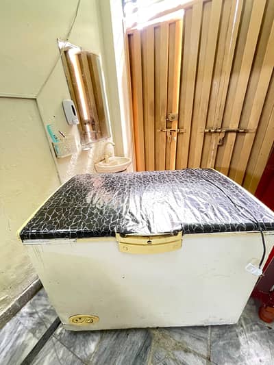 Deep Freezer 03248468747