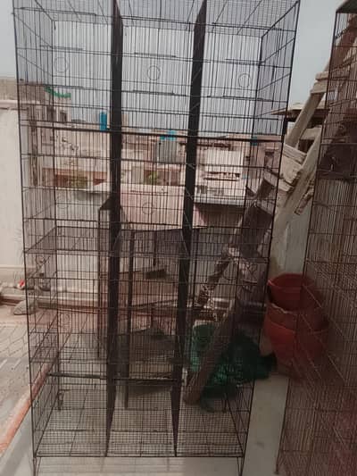 12 portion birds cage