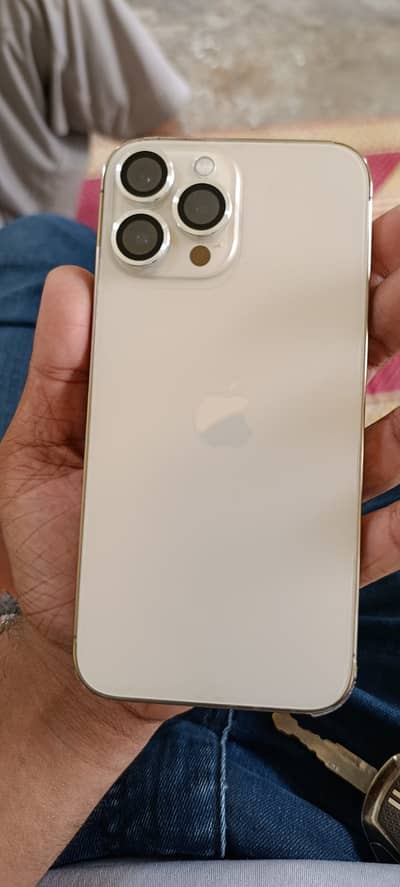 Apple iPhone 13 Pro Max