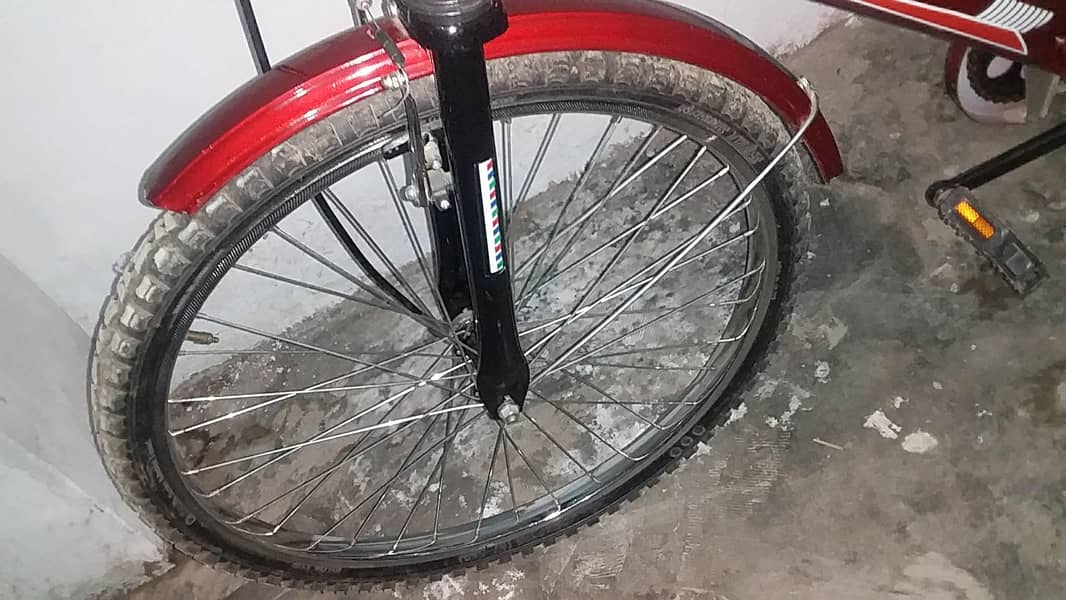 Bicycle 11