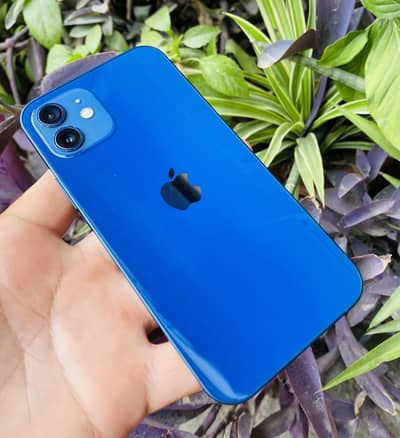 iPhone 12 Blue 256 GB PTA Approved Packed X/11/12/13/14/15/16/17Sam/Go