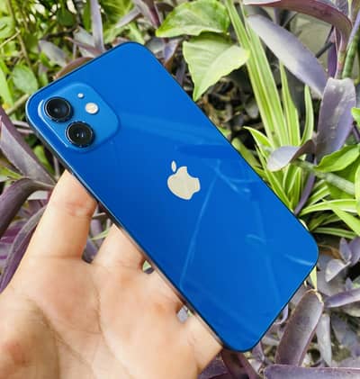 iPhone 12 Blue 256 GB PTA Approved Packed X/11/12/13/14/15/16/17Sam/Go