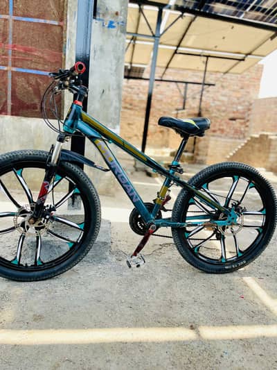 Morgan Bycycle  gear