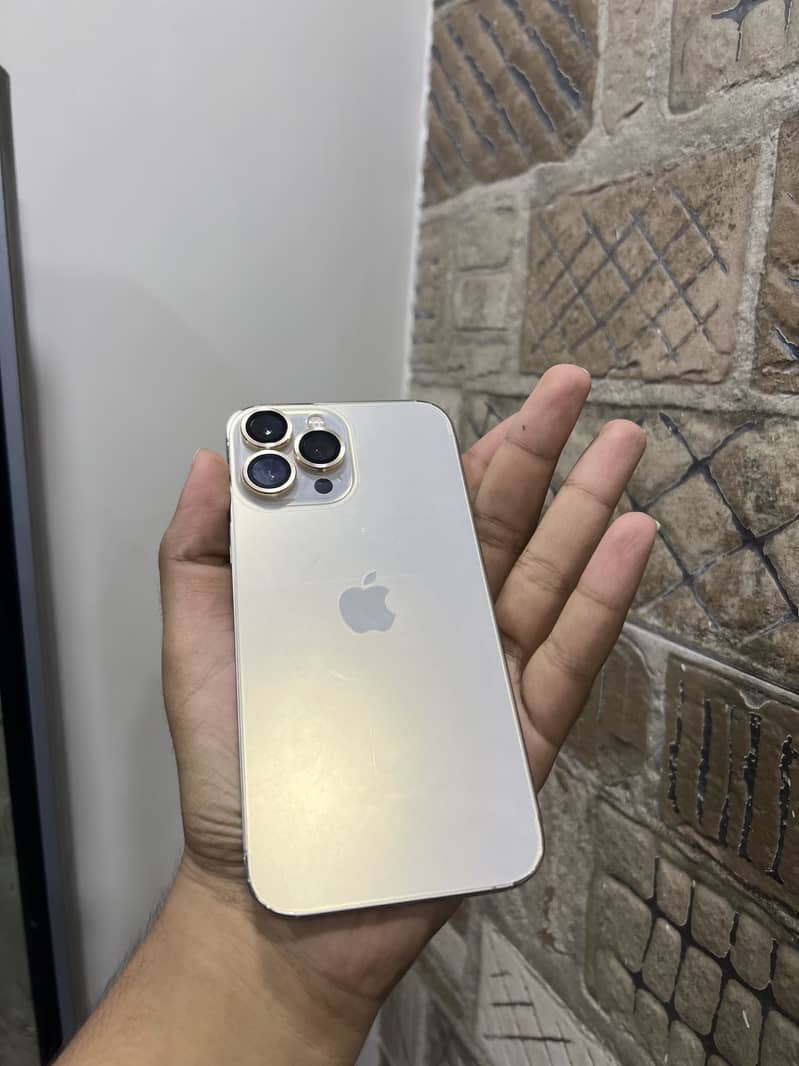 Apple iPhone 13 Pro Max 0