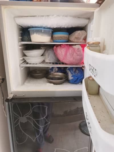 orient refrigerator medium size