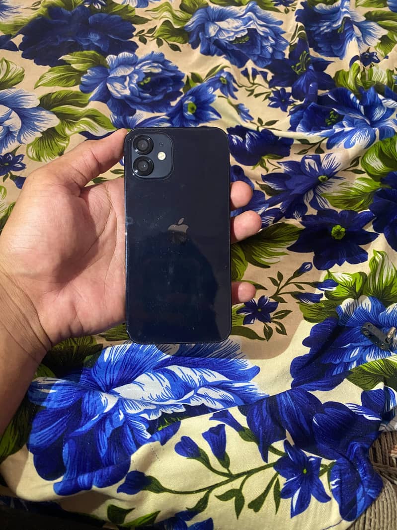 Apple iPhone 12 1