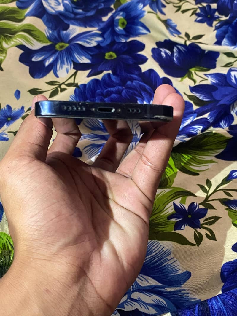 Apple iPhone 12 2