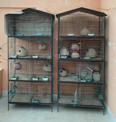 Bird Cage