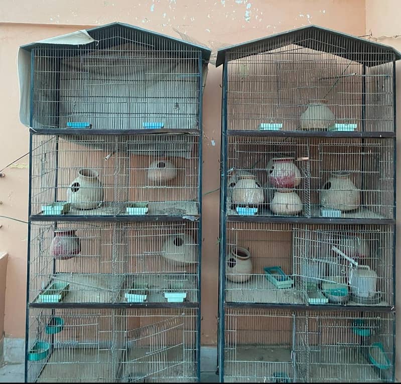 Bird Cage 1