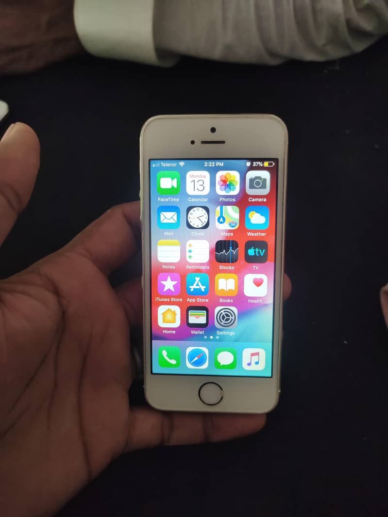 Apple iPhone 5s 5