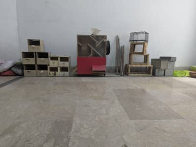 birds accessories lovebirds finches