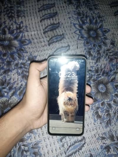 Tecno Spark Go 1