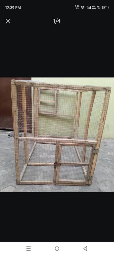 Aseel, Hen, Parrot All Type Of Birds Cage