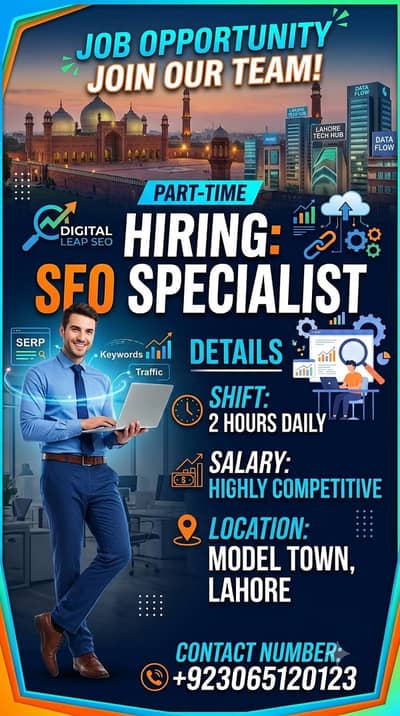 We need a SEO Master for only 2 hours