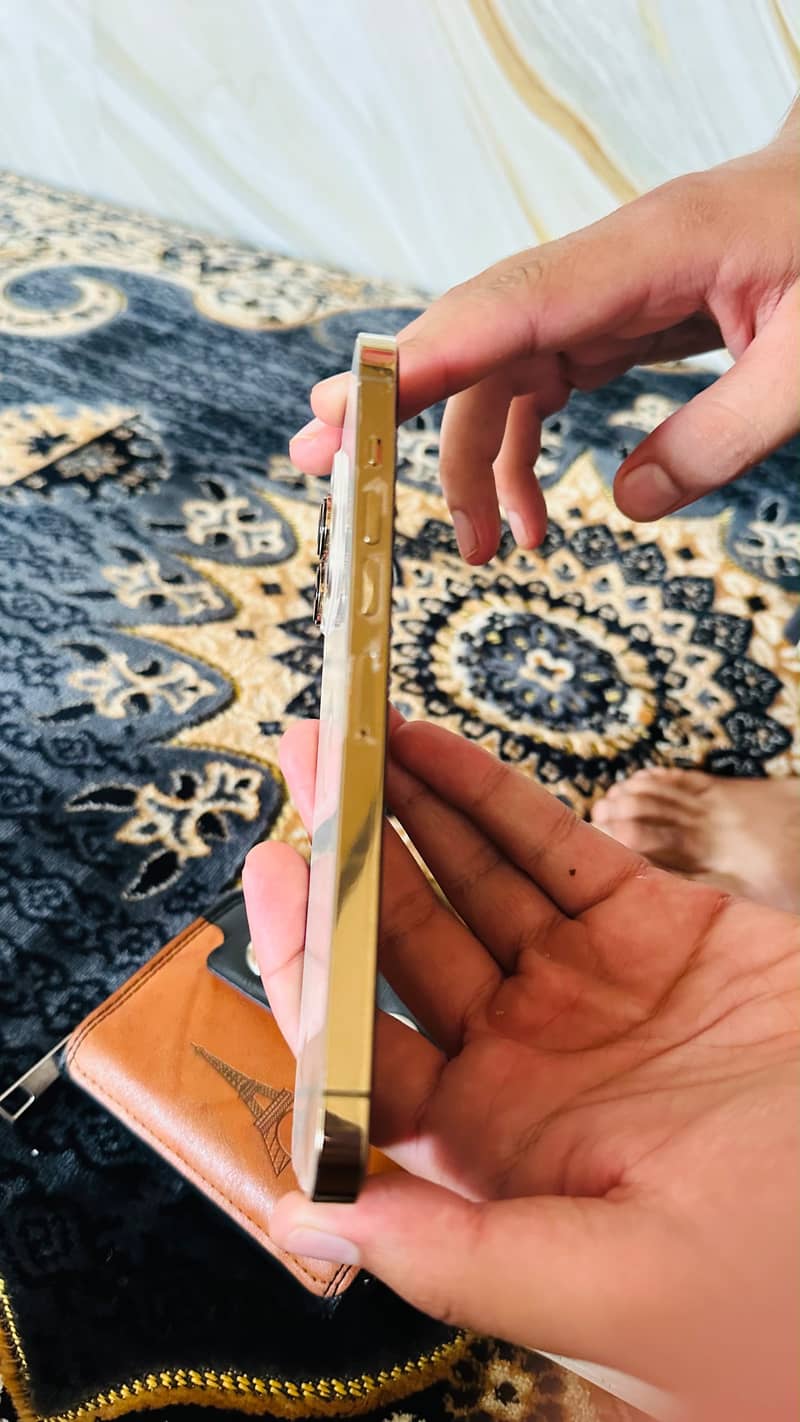 Apple iPhone 13 Pro Max 1