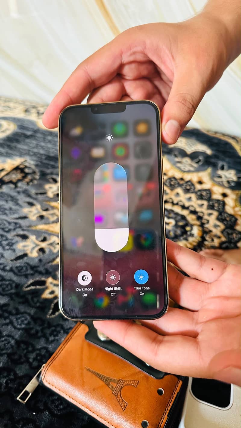 Apple iPhone 13 Pro Max 3