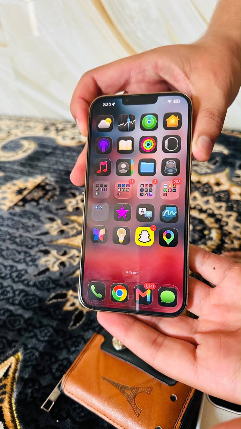 Apple iPhone 13 Pro Max 5