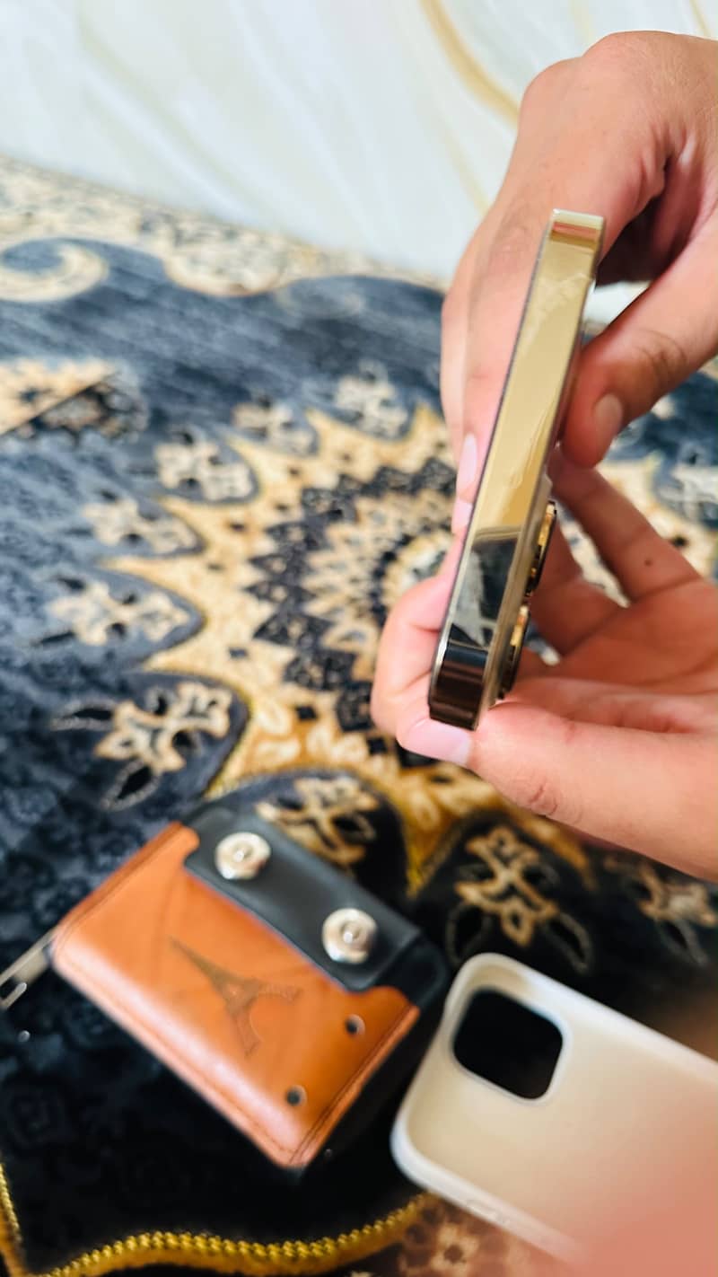 Apple iPhone 13 Pro Max 7