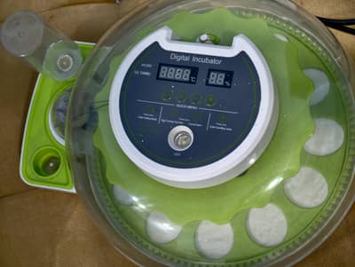 18 Eggs Green Automatic Incubator