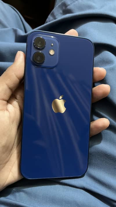 Apple iPhone 12