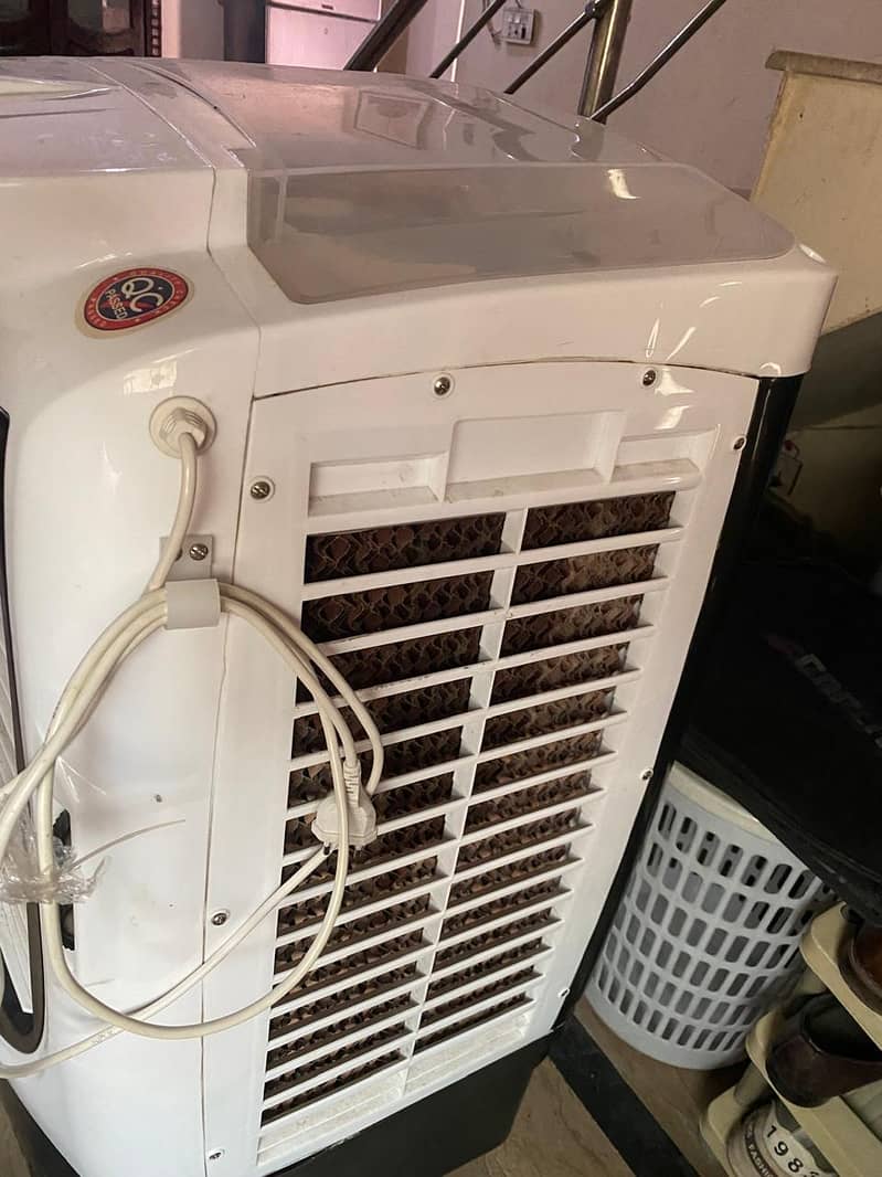 Bold A Cooler 3