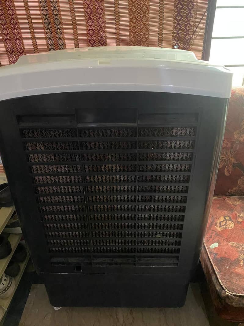 Bold A Cooler 4