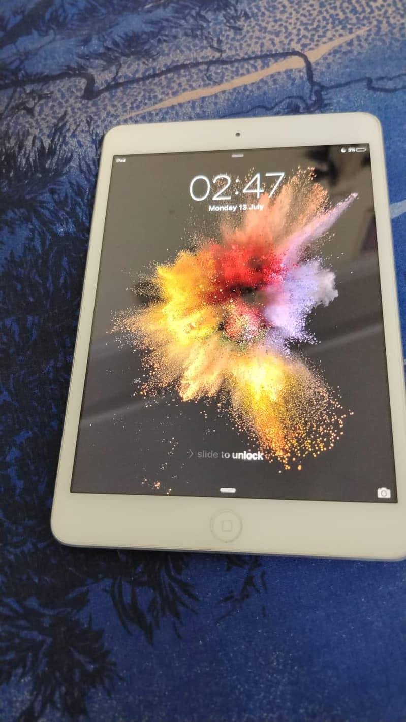 iPad mini 0