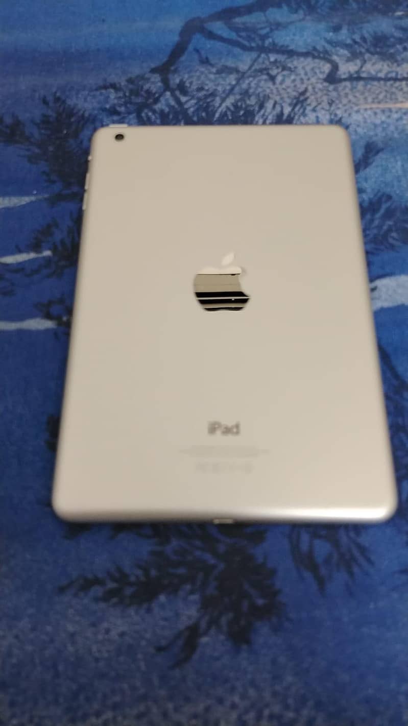iPad mini 1