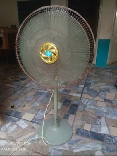 24 Inch Pedestal Fan