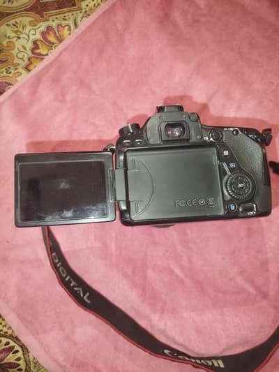 canon 80d Camera