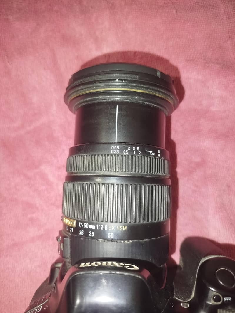 canon 80d Camera 5