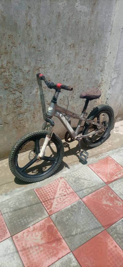 Mountain bicycle