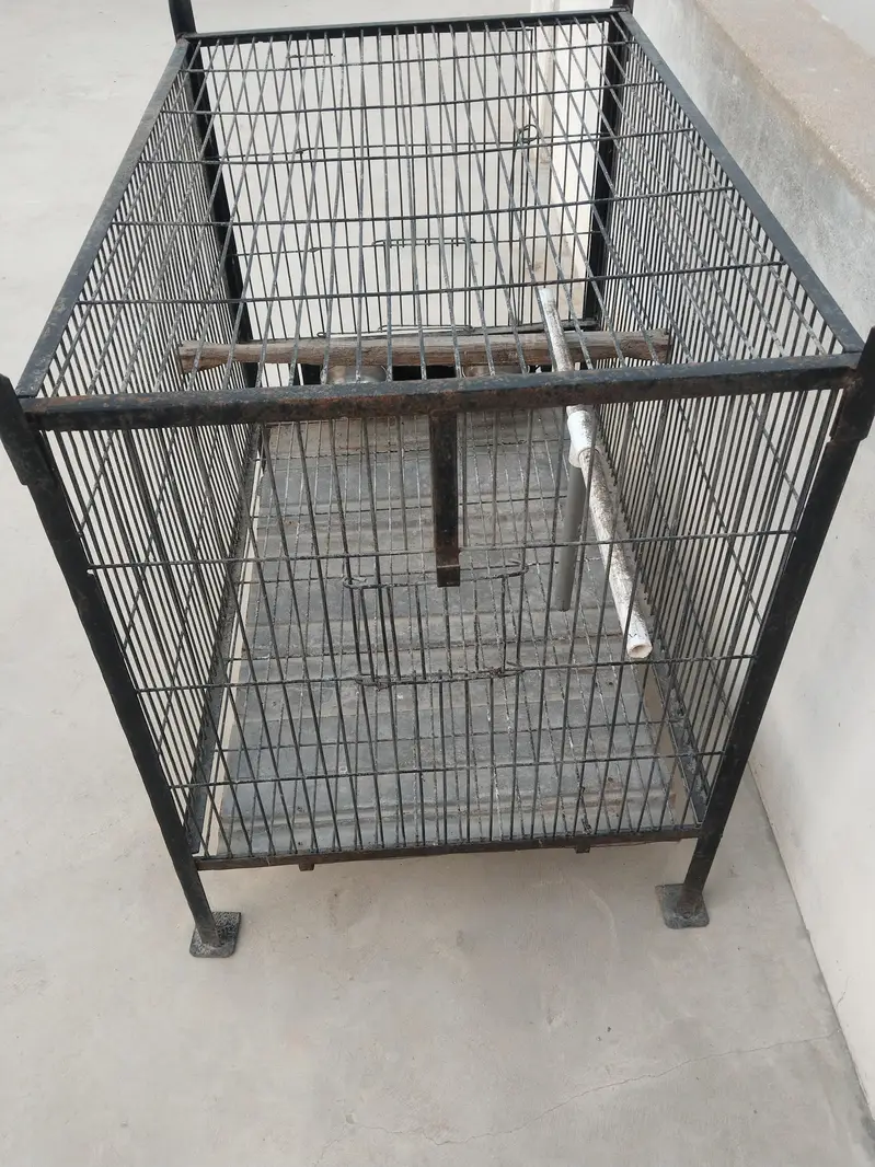 Cage For Sell Heavy Angle Suitable For Grey/Cockatoo/Pahari Parrots — photo 2
