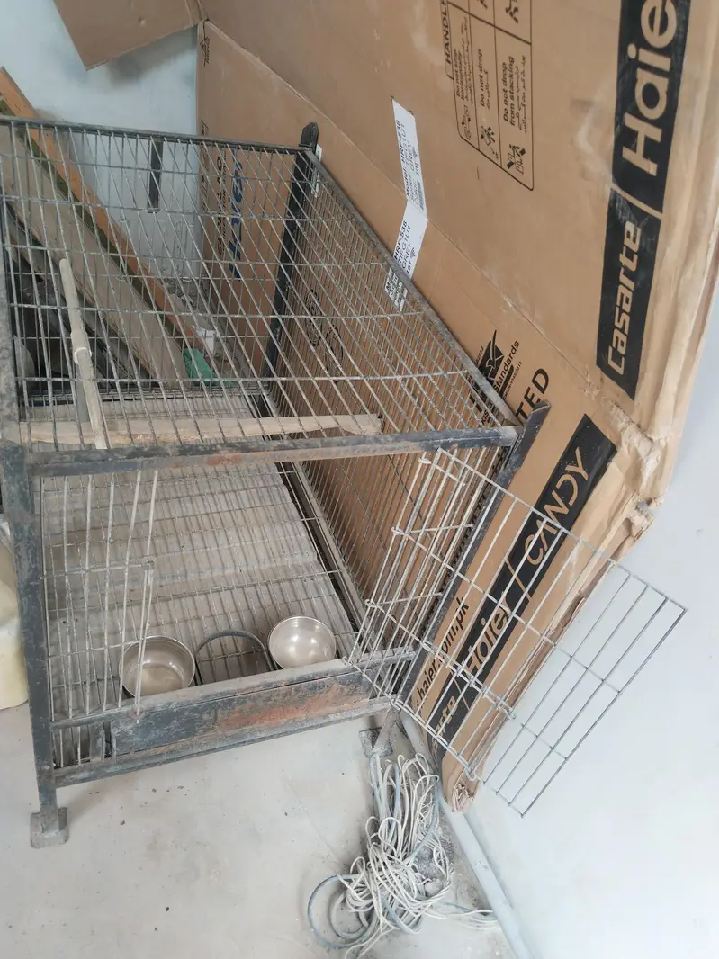Cage For Sell Heavy Angle Suitable For Grey/Cockatoo/Pahari Parrots — photo 3