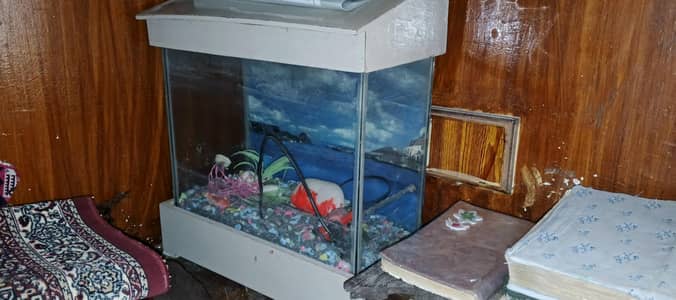 Aquarium size 2/2.5 Pump working