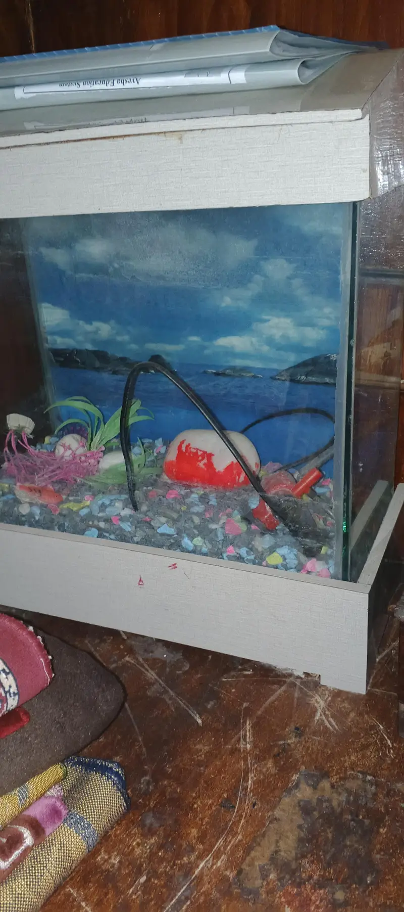 Aquarium size 2/2.5 Pump working — photo 2
